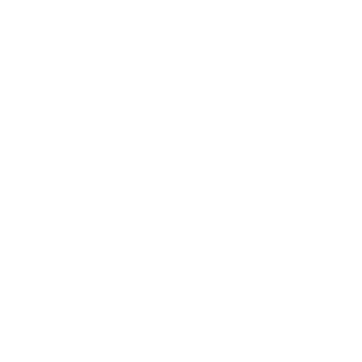 HORIZON RP